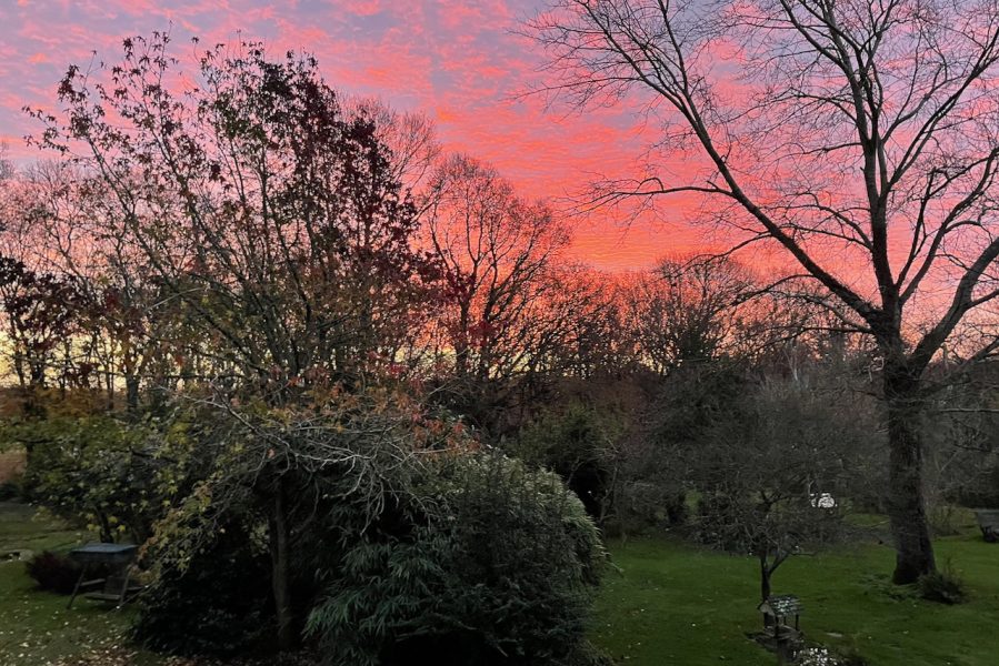 The Northern Lights form the Holt garden